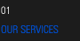 Our services